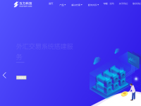交易软件开发