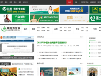 中国木业网
