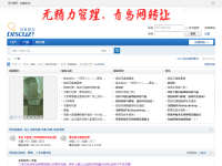 青鸟论坛