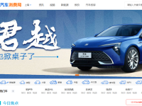 中国汽车消费网