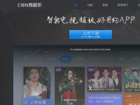 VST全聚合官方网站