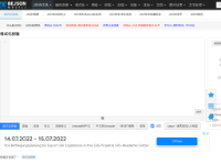 json格式化