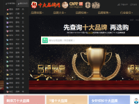 中国十大品牌网