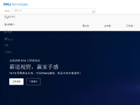 易安信中国
