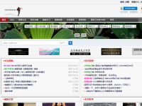中国小提琴网