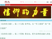 视友网