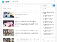 飞丸动漫网