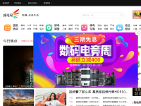 蜂鸟网