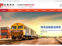 深圳派格国际物流货代公司
