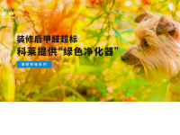 复合功能黑