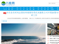 八桂网