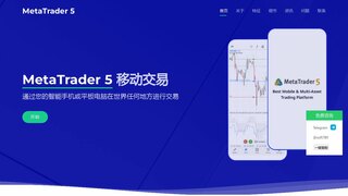 MT5搭建出租