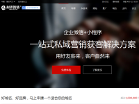 耐思尼克
