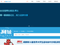 北龙中网