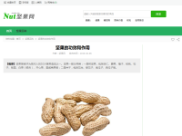 中国坚果网