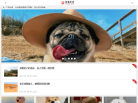 宠物天空网