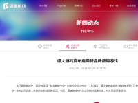 盛大游戏