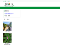 踏花行