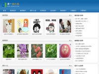 图片大全