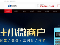 银盛支付