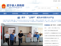 中国武宁网