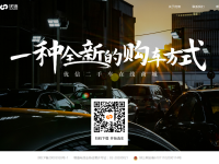 优信二手车