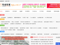 专业玩家