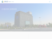 中泰化学