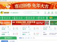 中国养猪网